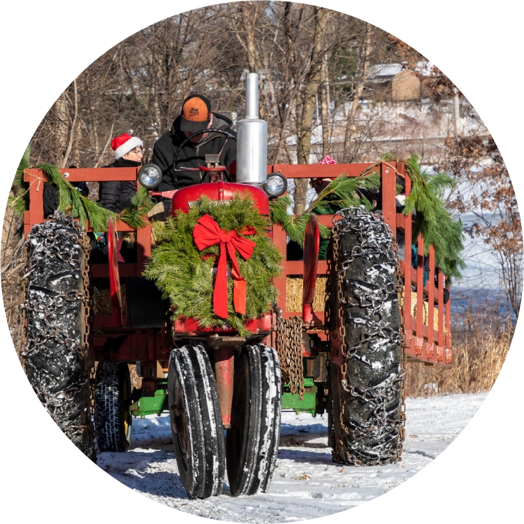A tractor with a Christmas wreath drives through snow