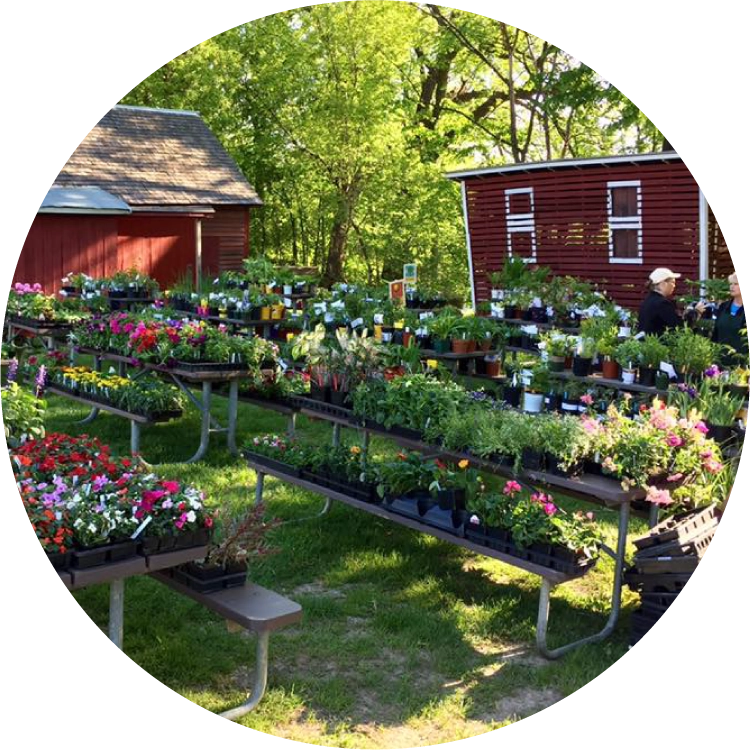 Plants line tables next to a shed and barn