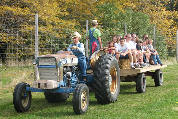 Apple Festival