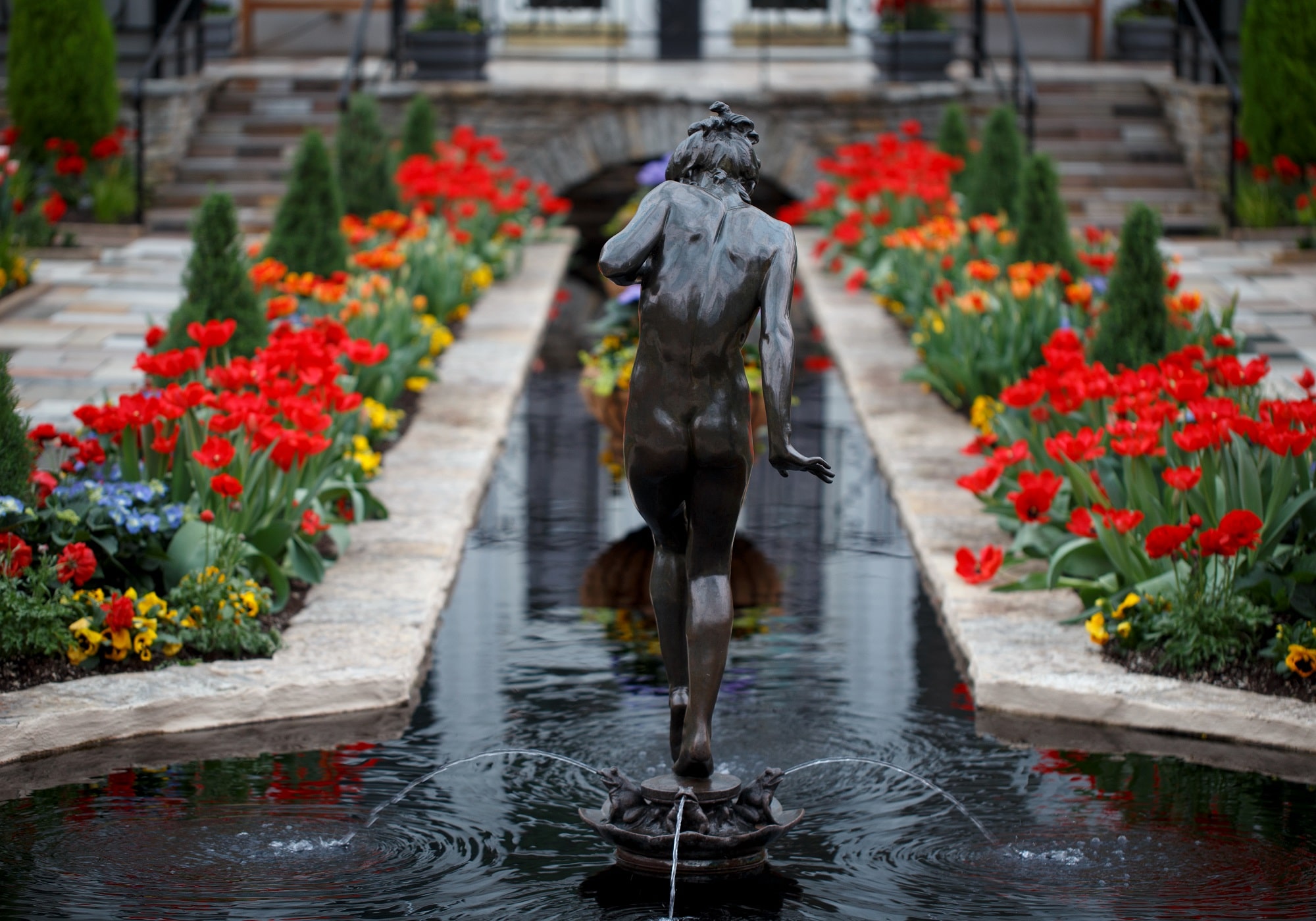 Como Conservatory Holiday Flower Show - Opening Day