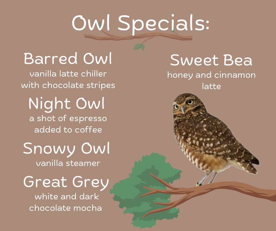 International Owl Awareness Day at the International Owl Center