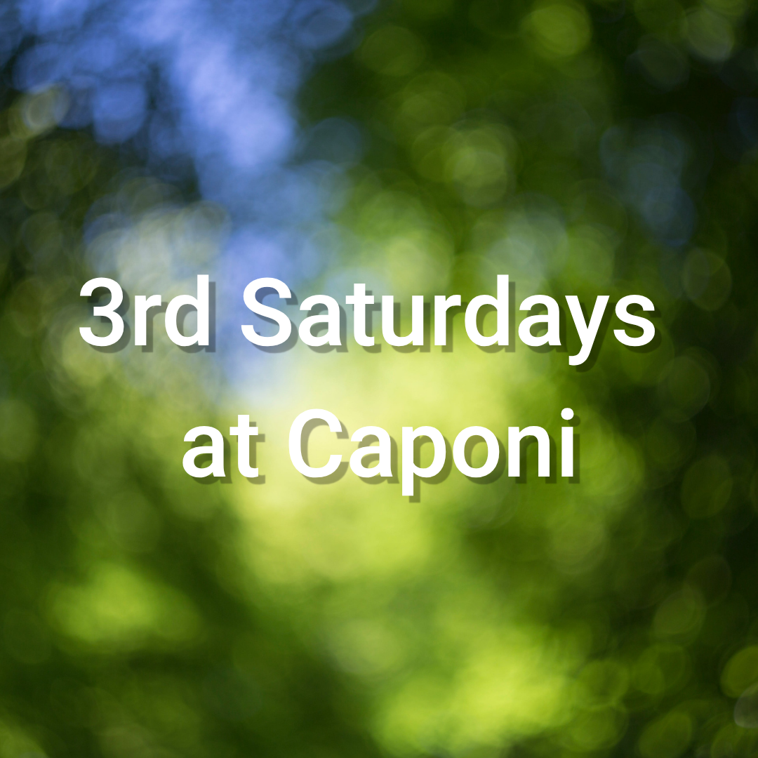 Caponi Third Saturday: Painting with Nature