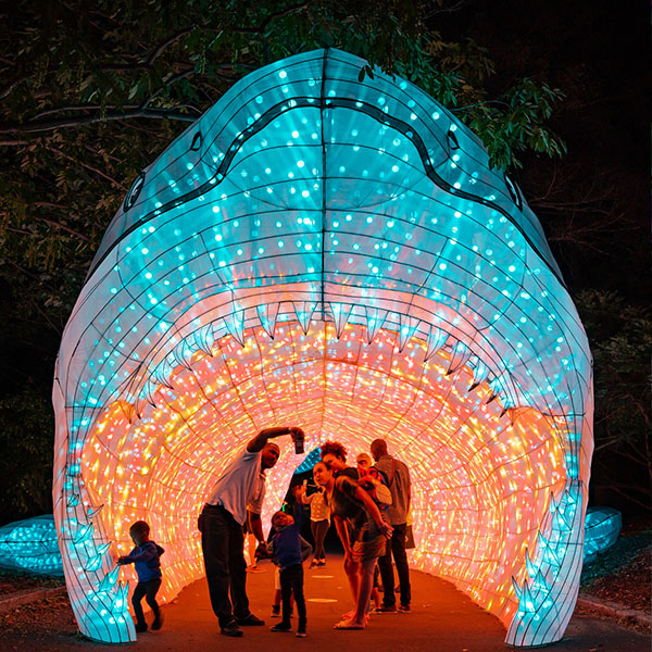 Minnesota Zoo's Wanderlight