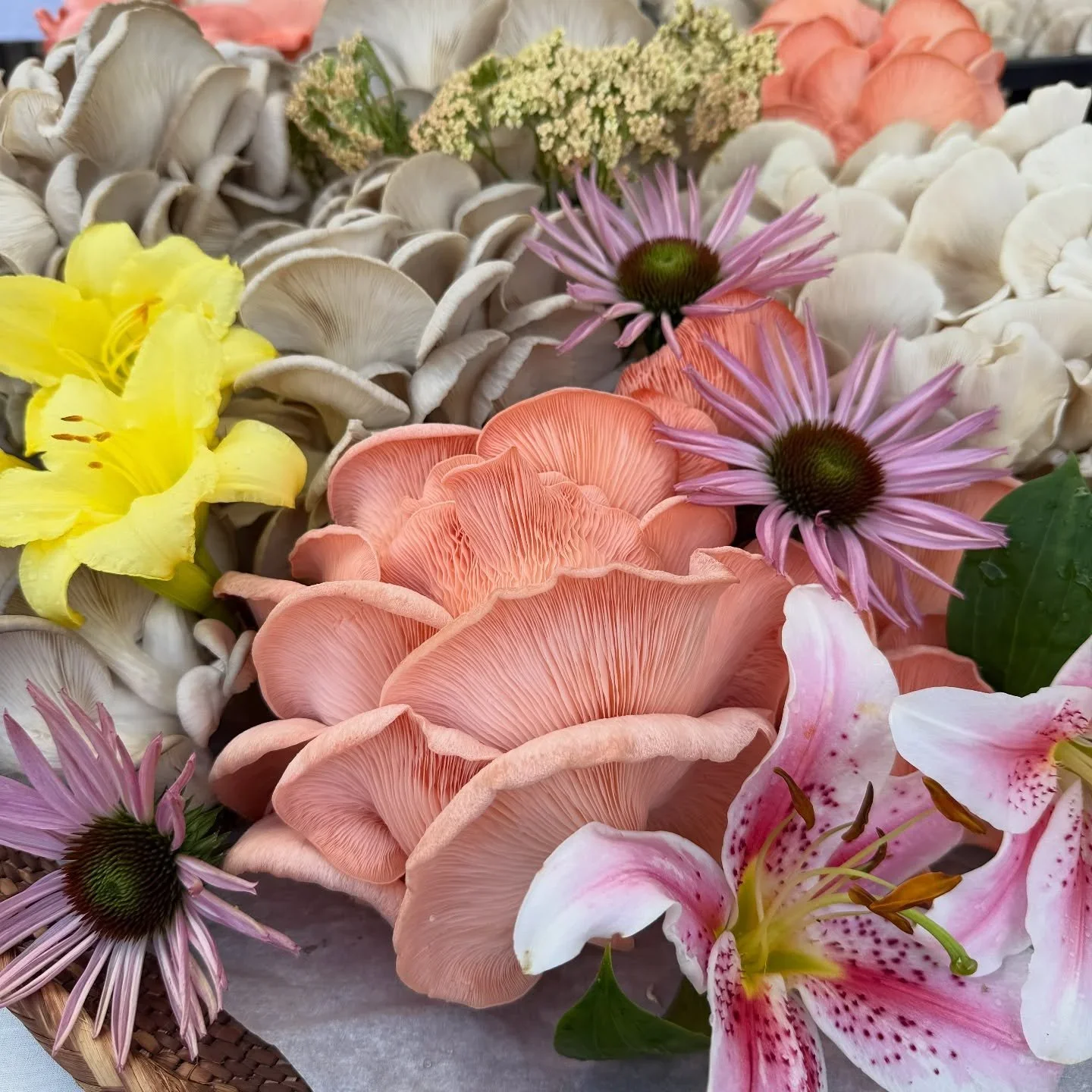 Northeast Farmers Market Saturday Market